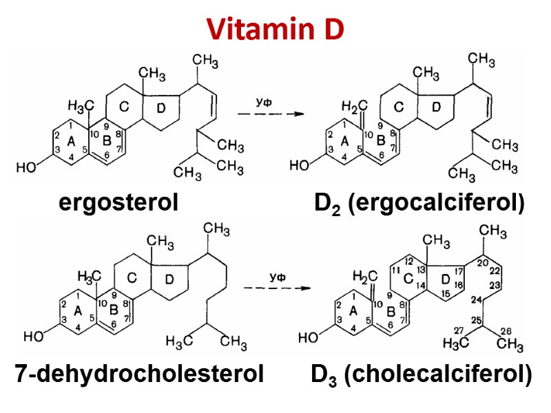 Vitamin D     ergosterol       
